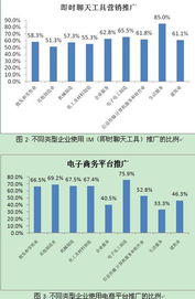 中國互聯(lián)網(wǎng)絡(luò)信息中心與互聯(lián)網(wǎng)信息服務(wù)的核心作用