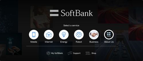 2021日本互聯(lián)網(wǎng)信息服務(wù)發(fā)展研究報告